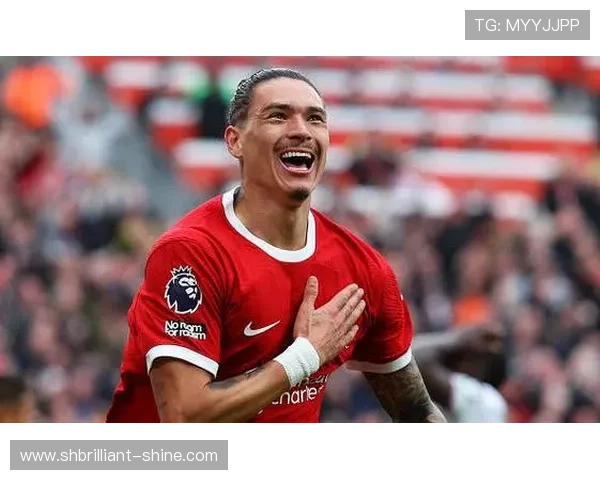 努涅斯：从乌拉圭草根到利物浦9号的逆袭解析